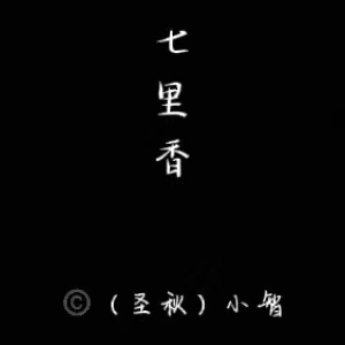 《七里香》高度演奏版（难度）