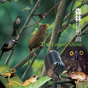 《森林狂想曲》完美可弹谱！优美灵动，849难度
