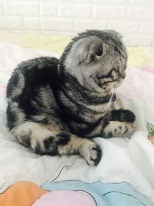 Rainie_萱的钢琴谱