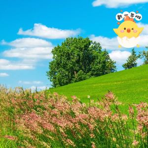 齐天大圣口耶的钢琴谱