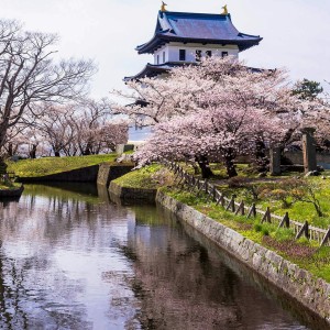 哈利·波特的个人空间