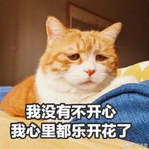 苏棳的钢琴谱