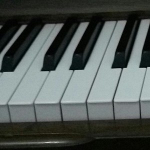 佩琪雪的钢琴谱