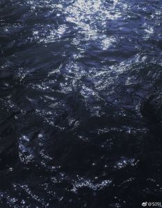 喵衔个栗子的钢琴谱