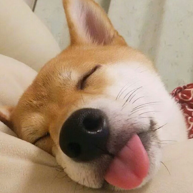 ICE cherry 的钢琴谱