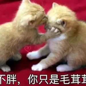 182****2509的钢琴谱