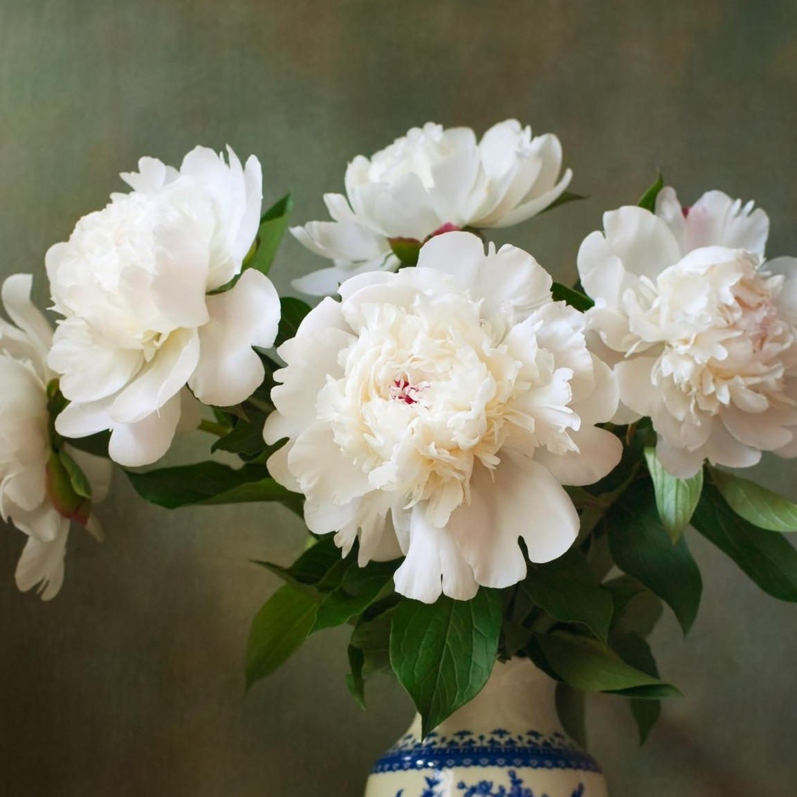 想不出昵称的钢琴谱