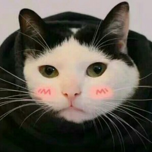 敕勒歌的演奏视频