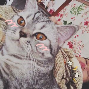 小柑橘的钢琴谱