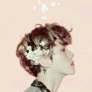 梁祝的演奏视频