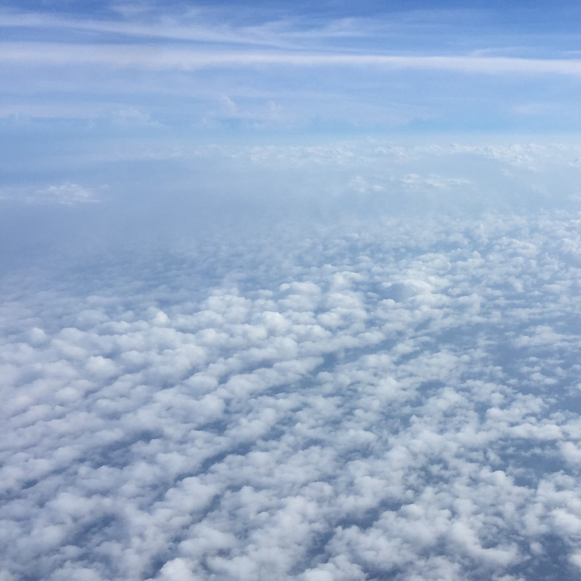 Gracelee的钢琴谱