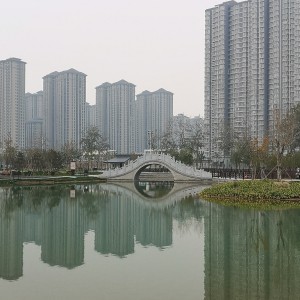 wyynh的钢琴谱