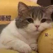 一只耶啵的钢琴谱