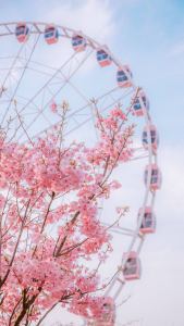 葆十劼的钢琴谱