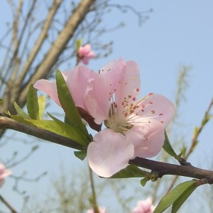 River Flows in You的演奏视频