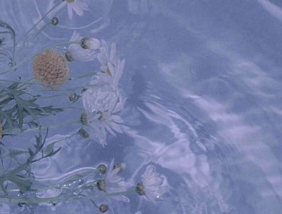 冬眠的演奏视频