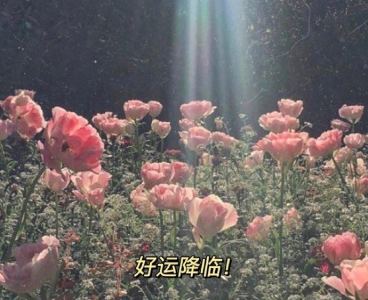 美人师兄的钢琴谱 美人师兄的钢琴谱