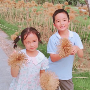 绒布小兔子的个人空间