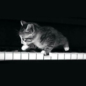 爱弹琴的小宜的钢琴谱