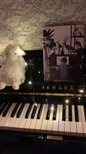 哪里都是你 (周杰伦)的演奏视频