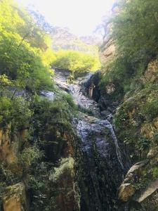 优美的小调的演奏视频