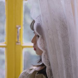 我和我的祖国的演奏视频