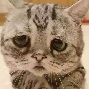 懿笙的钢琴谱