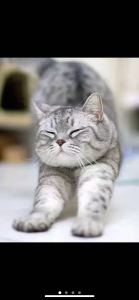 火红的萨日朗的演奏视频