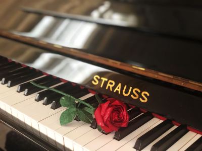 人间失格的演奏视频