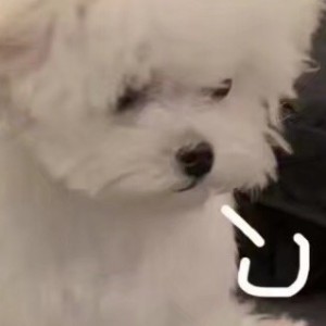 白茶乌龙.的钢琴谱