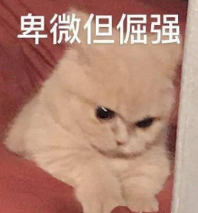 偷功的演奏视频