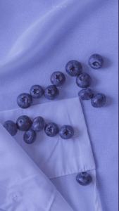 晚夜微雨问海棠的演奏视频