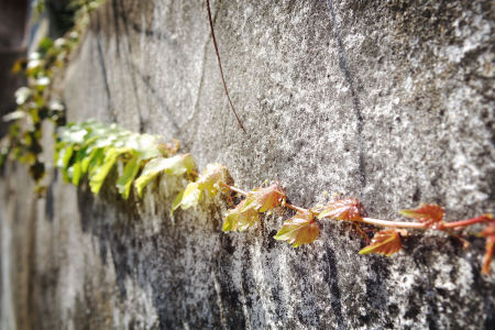 時代を越える想い的演奏视频