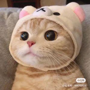 Summer的演奏视频