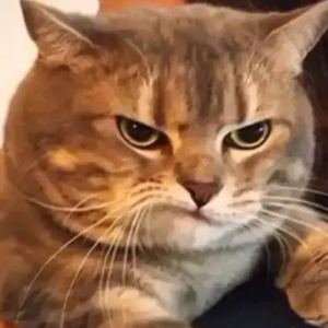 Planet的演奏视频