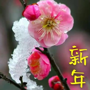 186****6801的个人空间