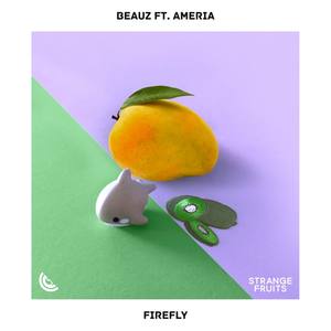 Firefly The Memory Of Short Summer Night