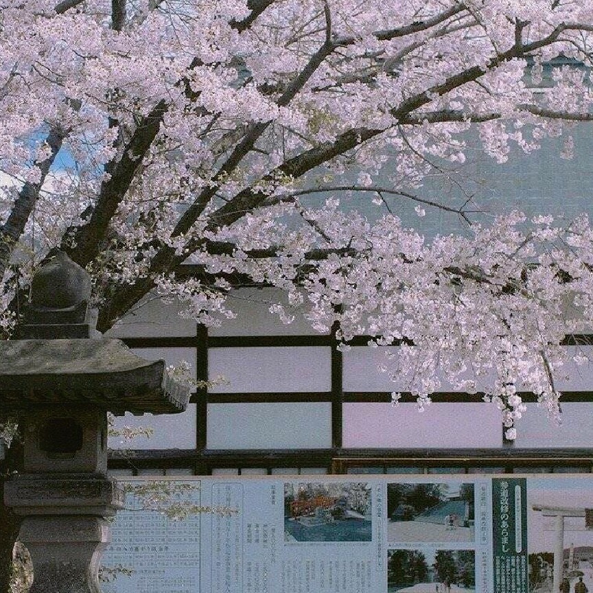 G源潮