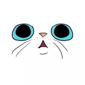 莫扎特k545第一乐章的演奏视频