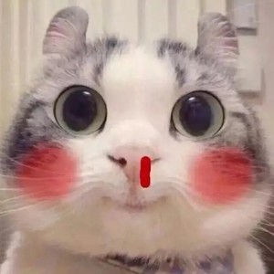 的演奏视频