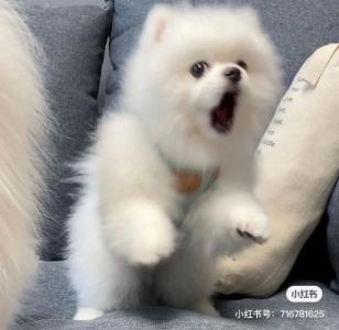 Serein的个人空间