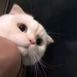 漠河舞厅的演奏视频