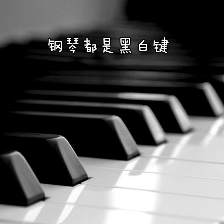 钢琴都是黑白键的个人空间