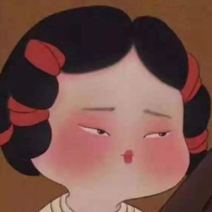 所念皆星河的演奏视频