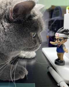 愿得一心人的演奏视频