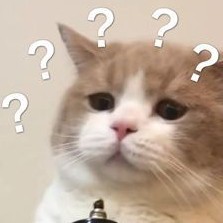 爱丫爱丫的演奏视频