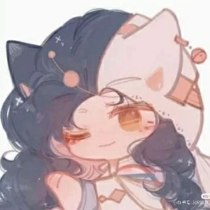 Nuvole Bianche的演奏视频