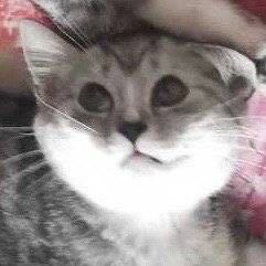 最伟大的作品的演奏视频