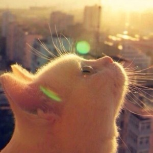 Five Hundred Miles的演奏视频