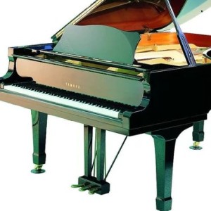 这世界那么多人的演奏视频